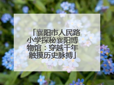 襄阳市人民路小学探秘襄阳博物馆：穿越千年触摸历史脉搏
