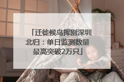 迁徙候鸟挥别深圳北归：单日监测数量最高突破2万只