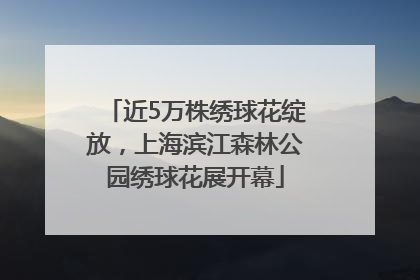 近5万株绣球花绽放，上海滨江森林公园绣球花展开幕
