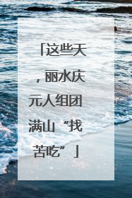 这些天，丽水庆元人组团满山“找苦吃”