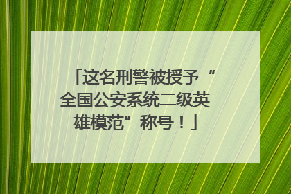 这名刑警被授予“全国公安系统二级英雄模范”称号！