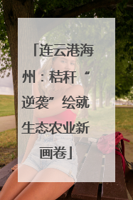 连云港海州：秸秆“逆袭”绘就生态农业新画卷