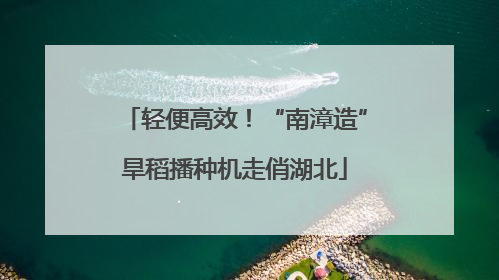 轻便高效！“南漳造”旱稻播种机走俏湖北