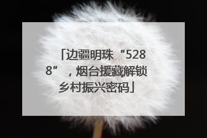 边疆明珠“5288”，烟台援藏解锁乡村振兴密码