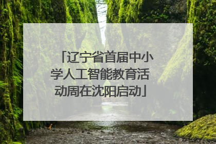 辽宁省首届中小学人工智能教育活动周在沈阳启动