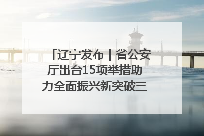 辽宁发布｜省公安厅出台15项举措助力全面振兴新突破三年行动决胜之战