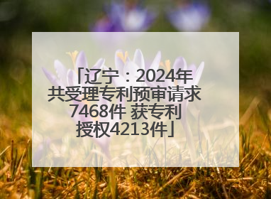 辽宁：2024年共受理专利预审请求7468件 获专利授权4213件