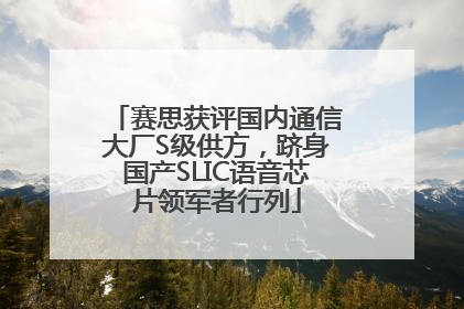 赛思获评国内通信大厂S级供方，跻身国产SLIC语音芯片领军者行列