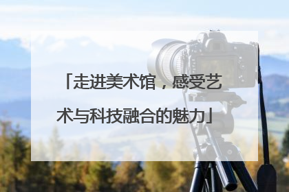 走进美术馆，感受艺术与科技融合的魅力
