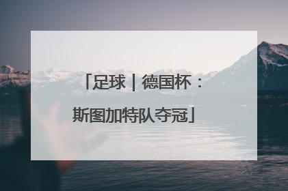 足球｜德国杯：斯图加特队夺冠