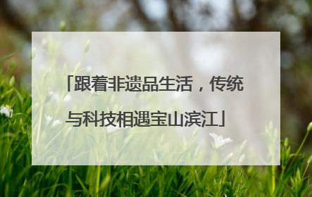 跟着非遗品生活，传统与科技相遇宝山滨江