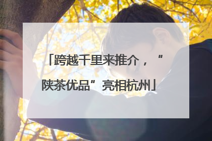 跨越千里来推介，“陕茶优品”亮相杭州