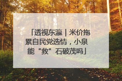 透视东瀛｜米价拖累自民党选情，小泉能“救”石破茂吗