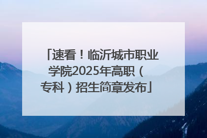 速看！临沂城市职业学院2025年高职（专科）招生简章发布