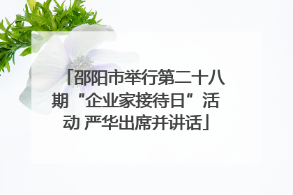 邵阳市举行第二十八期“企业家接待日”活动 严华出席并讲话