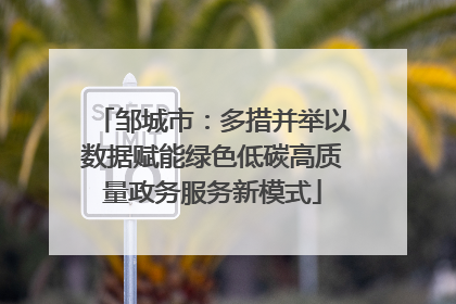 邹城市：多措并举以数据赋能绿色低碳高质量政务服务新模式