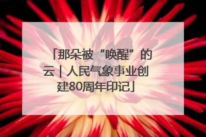 那朵被“唤醒”的云｜人民气象事业创建80周年印记