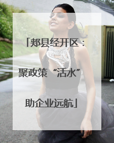 郏县经开区：聚政策“活水” 助企业远航