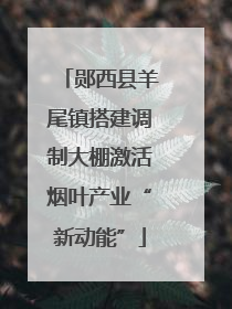 郧西县羊尾镇搭建调制大棚激活烟叶产业“新动能”