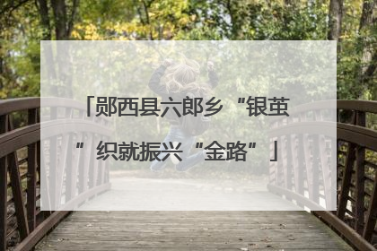 郧西县六郎乡“银茧”织就振兴“金路”