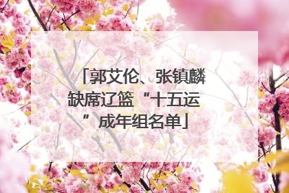 郭艾伦、张镇麟缺席辽篮“十五运”成年组名单
