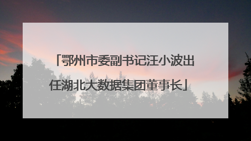 鄂州市委副书记汪小波出任湖北大数据集团董事长