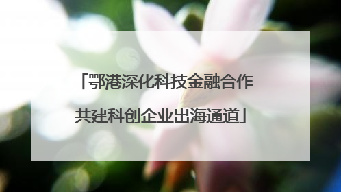 鄂港深化科技金融合作 共建科创企业出海通道