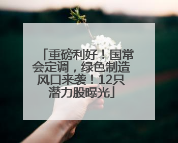重磅利好！国常会定调，绿色制造风口来袭！12只潜力股曝光