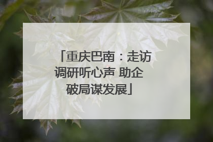 重庆巴南：走访调研听心声 助企破局谋发展