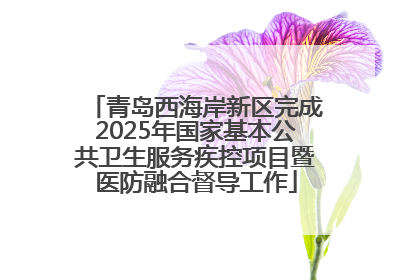 青岛西海岸新区完成2025年国家基本公共卫生服务疾控项目暨医防融合督导工作