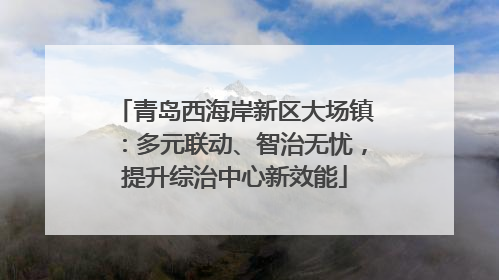 青岛西海岸新区大场镇：多元联动、智治无忧，提升综治中心新效能