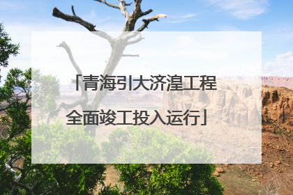青海引大济湟工程全面竣工投入运行