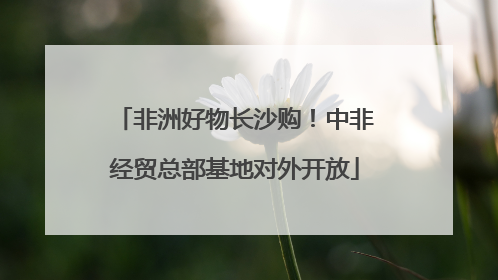 非洲好物长沙购！中非经贸总部基地对外开放