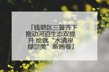 钱塘区三管齐下推动河道生态双提升 绘就“水清岸绿景美”新画卷