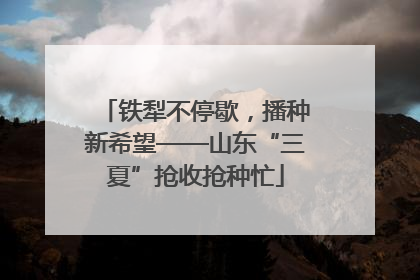 铁犁不停歇，播种新希望——山东“三夏”抢收抢种忙