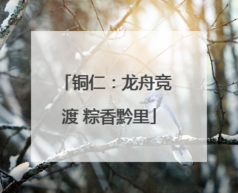 铜仁：龙舟竞渡 粽香黔里