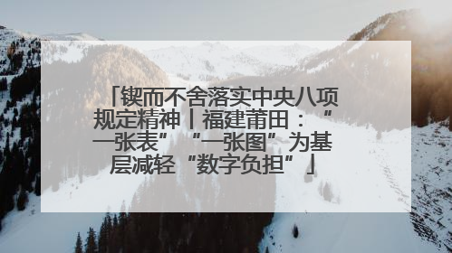 锲而不舍落实中央八项规定精神丨福建莆田：“一张表”“一张图”为基层减轻“数字负担”