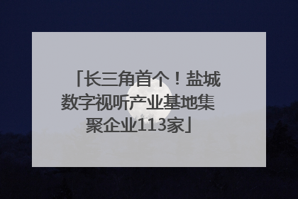 长三角首个！盐城数字视听产业基地集聚企业113家