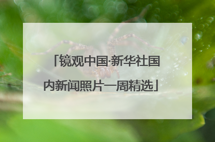 镜观中国·新华社国内新闻照片一周精选