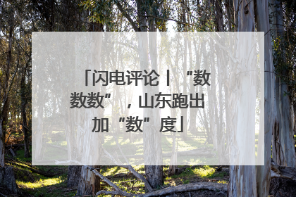闪电评论丨“数数数”，山东跑出加“数”度