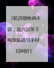 防洪增收两不误，嘉兴这条千吨级航道引来村民叫好