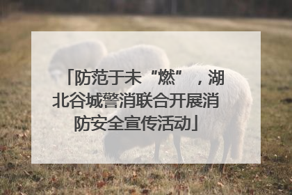 防范于未“燃”，湖北谷城警消联合开展消防安全宣传活动