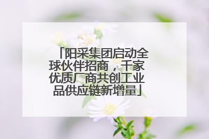 阳采集团启动全球伙伴招商，千家优质厂商共创工业品供应链新增量