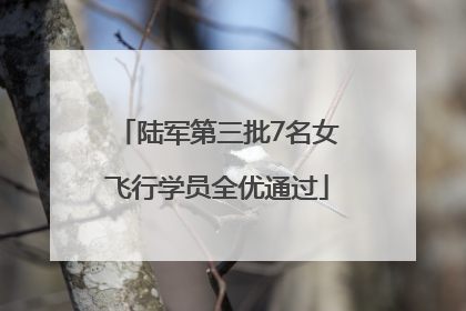 陆军第三批7名女飞行学员全优通过