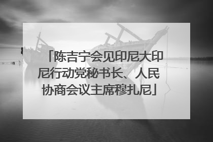 陈吉宁会见印尼大印尼行动党秘书长、人民协商会议主席穆扎尼