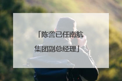 陈詟已任南航集团副总经理