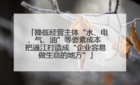 降低经营主体“水、电、气、油”等要素成本 把通江打造成“企业容易做生意的地方”