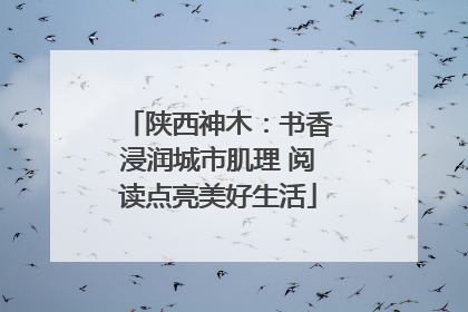 陕西神木：书香浸润城市肌理 阅读点亮美好生活