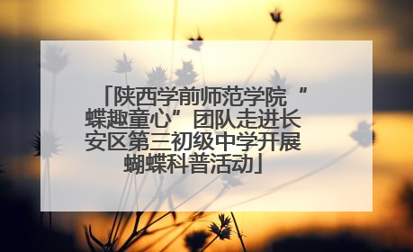 陕西学前师范学院“蝶趣童心”团队走进长安区第三初级中学开展蝴蝶科普活动