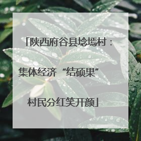 陕西府谷县埝墕村：集体经济“结硕果” 村民分红笑开颜
